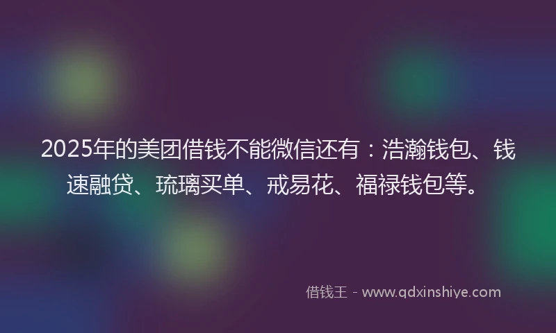 2025年的美团借钱不能微信还有：浩瀚钱包、钱速融贷、琉璃买单、戒易花、福禄钱包等。
