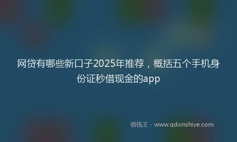 网贷有哪些新口子2025年推荐，概括五个手机身份证秒借现金的app