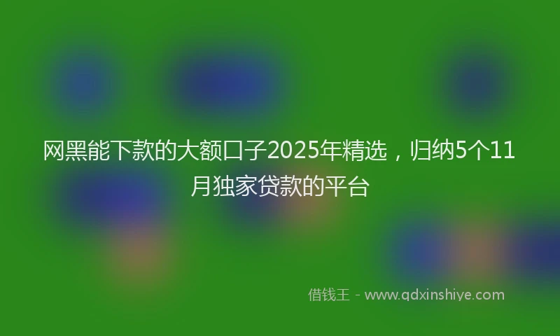 网黑能下款的大额口子2025年精选，归纳5个11月独家贷款的平台