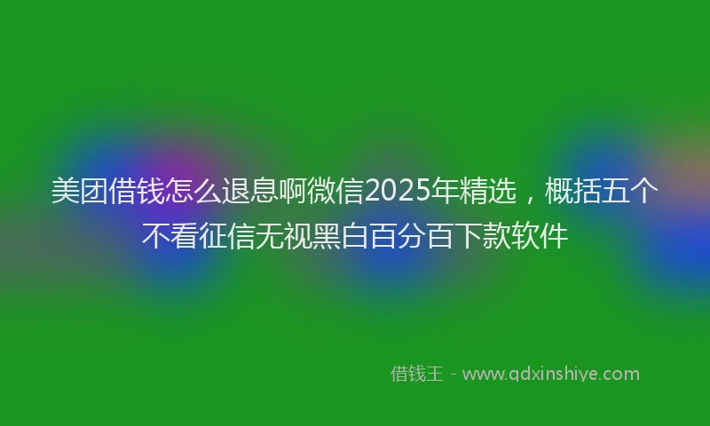 美团借钱怎么退息啊微信2025年精选，概括五个不看征信无视黑白百分百下款软件