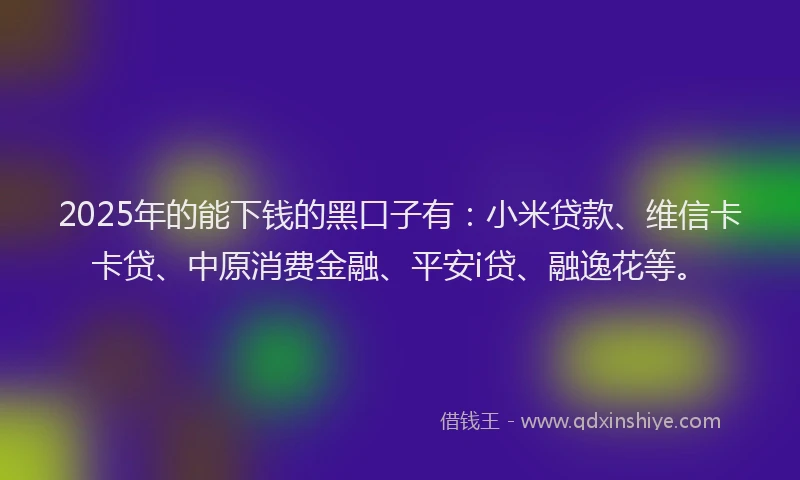 2025年的能下钱的黑口子有：小米贷款、维信卡卡贷、中原消费金融、平安i贷、融逸花等。