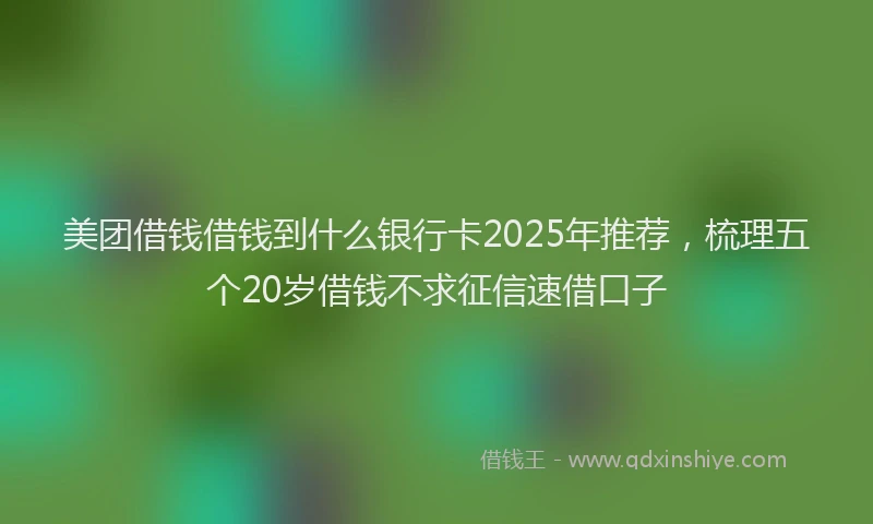 美团借钱借钱到什么银行卡2025年推荐，梳理五个20岁借钱不求征信速借口子