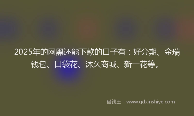 2025年的网黑还能下款的口子有：好分期、金瑞钱包、口袋花、沐久商城、新一花等。