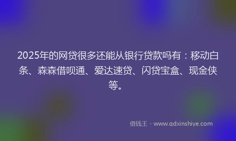 2025年的网贷很多还能从银行贷款吗有：移动白条、森森借呗通、爱达速贷、闪贷宝盒、现金侠等。