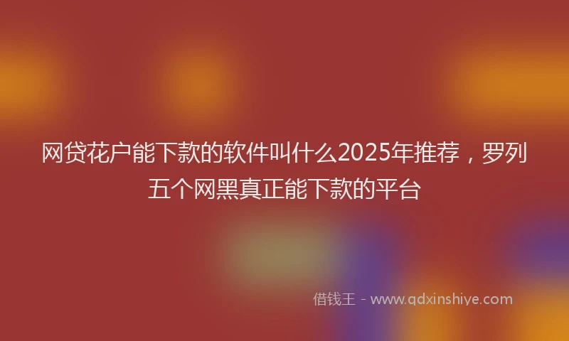 网贷花户能下款的软件叫什么2025年推荐，罗列五个网黑真正能下款的平台