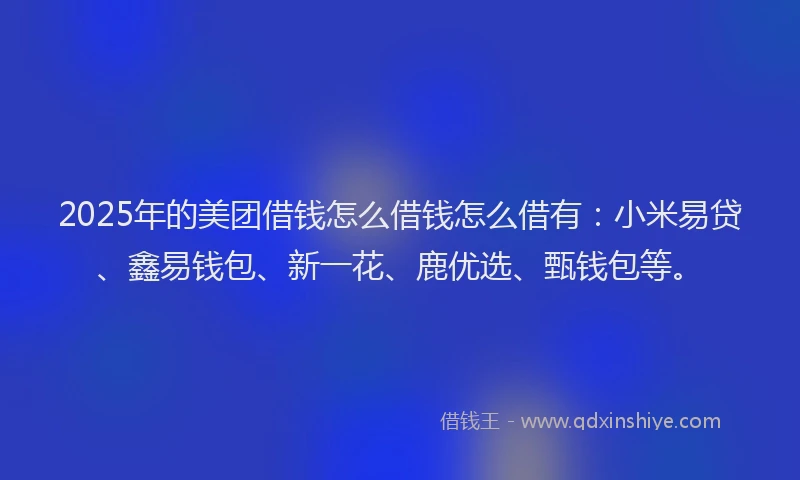 2025年的美团借钱怎么借钱怎么借有：小米易贷、鑫易钱包、新一花、鹿优选、甄钱包等。