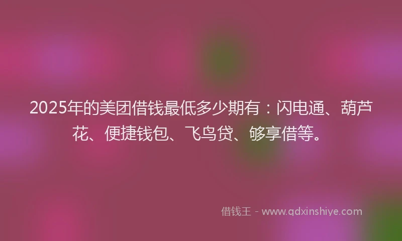 2025年的美团借钱最低多少期有：闪电通、葫芦花、便捷钱包、飞鸟贷、够享借等。