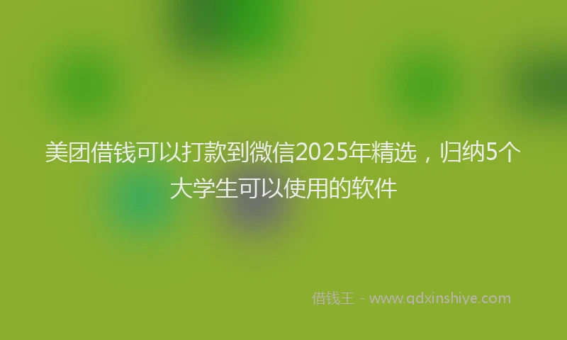 美团借钱可以打款到微信2025年精选，归纳5个大学生可以使用的软件