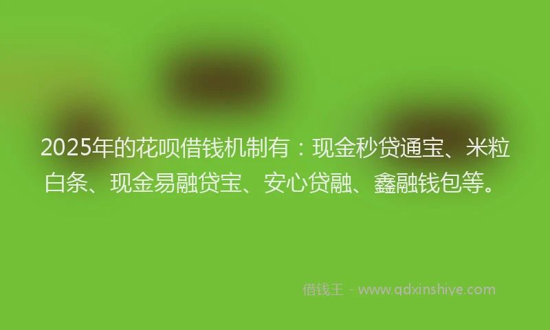 2025年的花呗借钱机制有：现金秒贷通宝、米粒白条、现金易融贷宝、安心贷融、鑫融钱包等。