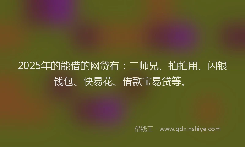 2025年的能借的网贷有：二师兄、拍拍用、闪银钱包、快易花、借款宝易贷等。