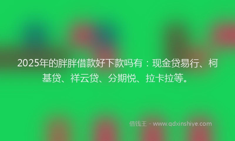 2025年的胖胖借款好下款吗有：现金贷易行、柯基贷、祥云贷、分期悦、拉卡拉等。