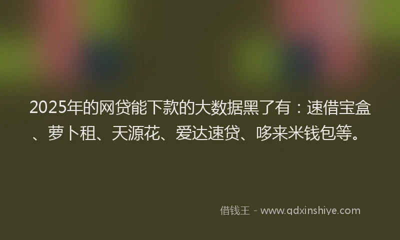 2025年的网贷能下款的大数据黑了有：速借宝盒、萝卜租、天源花、爱达速贷、哆来米钱包等。