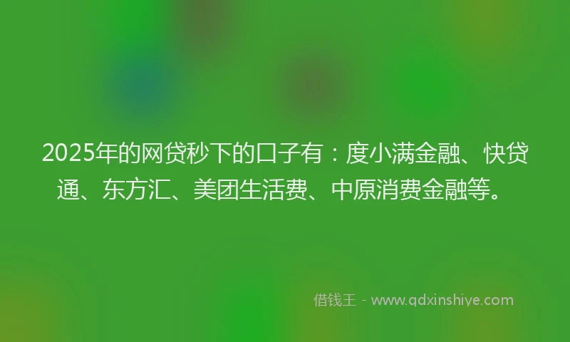 2025年的网贷秒下的口子有：度小满金融、快贷通、东方汇、美团生活费、中原消费金融等。