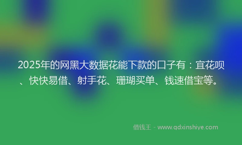2025年的网黑大数据花能下款的口子有：宜花呗、快快易借、射手花、珊瑚买单、钱速借宝等。