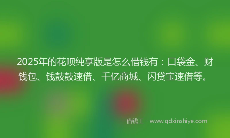 2025年的花呗纯享版是怎么借钱有：口袋金、财钱包、钱鼓鼓速借、千亿商城、闪贷宝速借等。