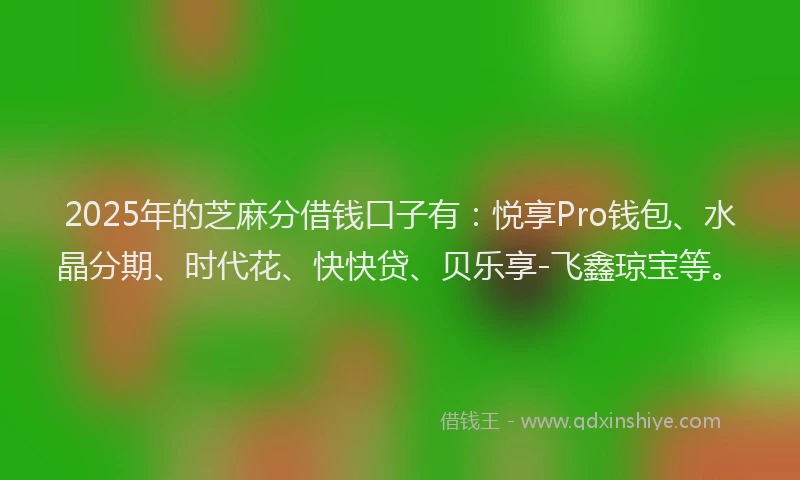 2025年的芝麻分借钱口子有：悦享Pro钱包、水晶分期、时代花、快快贷、贝乐享-飞鑫琼宝等。