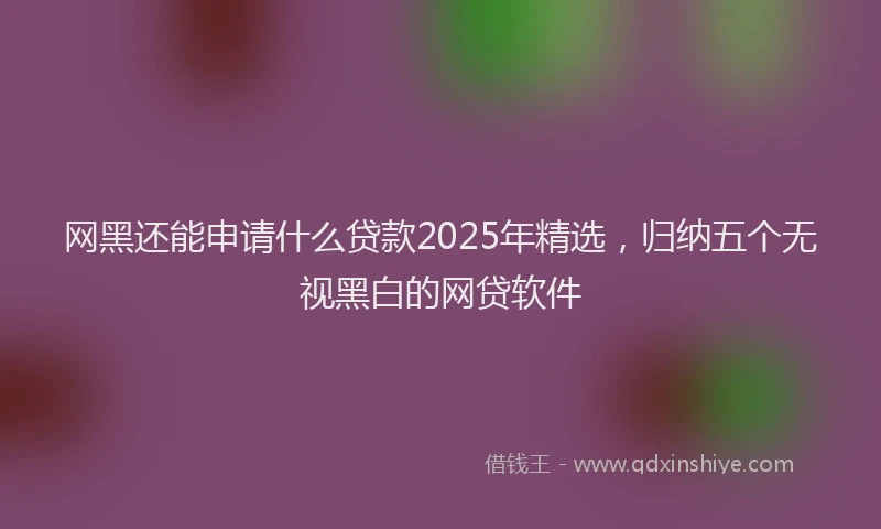 网黑还能申请什么贷款2025年精选，归纳五个无视黑白的网贷软件
