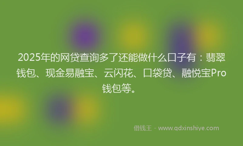 2025年的网贷查询多了还能做什么口子有：翡翠钱包、现金易融宝、云闪花、口袋贷、融悦宝Pro钱包等。