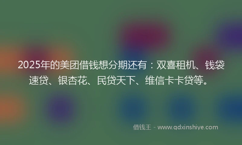 2025年的美团借钱想分期还有：双喜租机、钱袋速贷、银杏花、民贷天下、维信卡卡贷等。