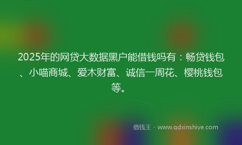2025年的网贷大数据黑户能借钱吗有：畅贷钱包、小喵商城、爱木财富、诚信一周花、樱桃钱包等。