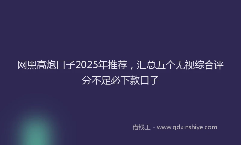 网黑高炮口子2025年推荐，汇总五个无视综合评分不足必下款口子