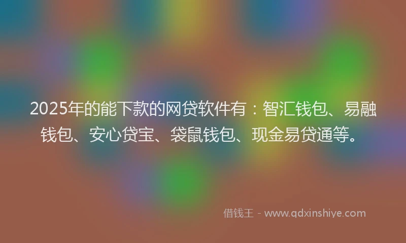 2025年的能下款的网贷软件有：智汇钱包、易融钱包、安心贷宝、袋鼠钱包、现金易贷通等。