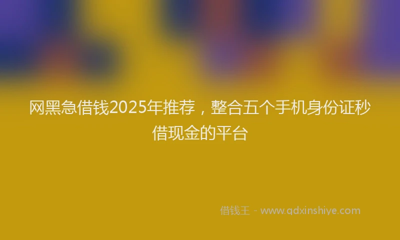 网黑急借钱2025年推荐，整合五个手机身份证秒借现金的平台
