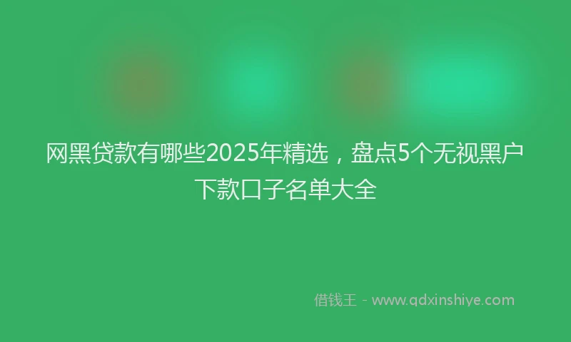 网黑贷款有哪些2025年精选，盘点5个无视黑户下款口子名单大全
