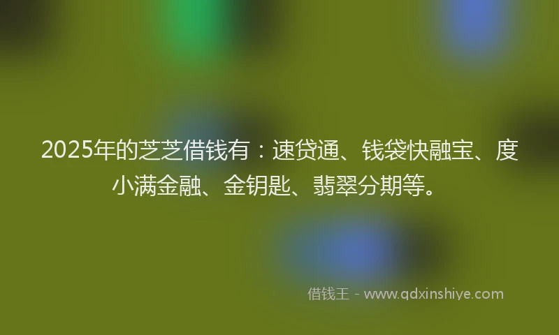 2025年的芝芝借钱有：速贷通、钱袋快融宝、度小满金融、金钥匙、翡翠分期等。