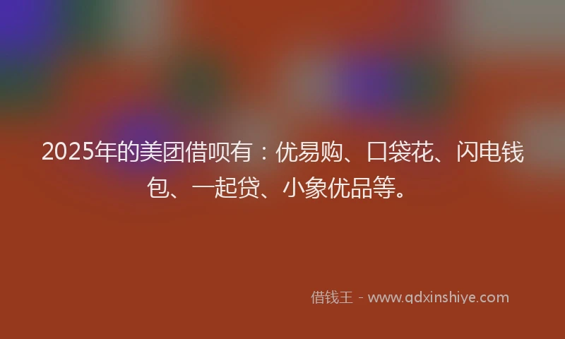 2025年的美团借呗有：优易购、口袋花、闪电钱包、一起贷、小象优品等。