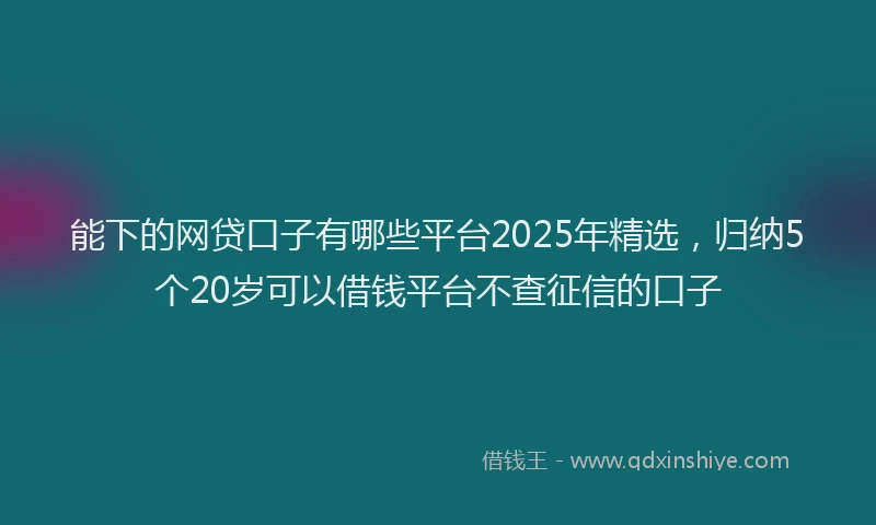 能下的网贷口子有哪些平台2025年精选，归纳5个20岁可以借钱平台不查征信的口子