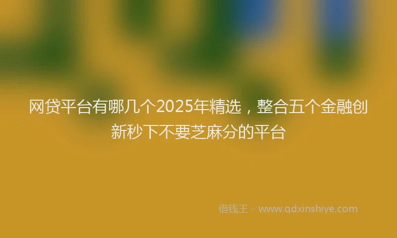 网贷平台有哪几个2025年精选，整合五个金融创新秒下不要芝麻分的平台
