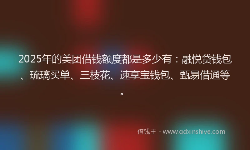 2025年的美团借钱额度都是多少有：融悦贷钱包、琉璃买单、三枝花、速享宝钱包、甄易借通等。