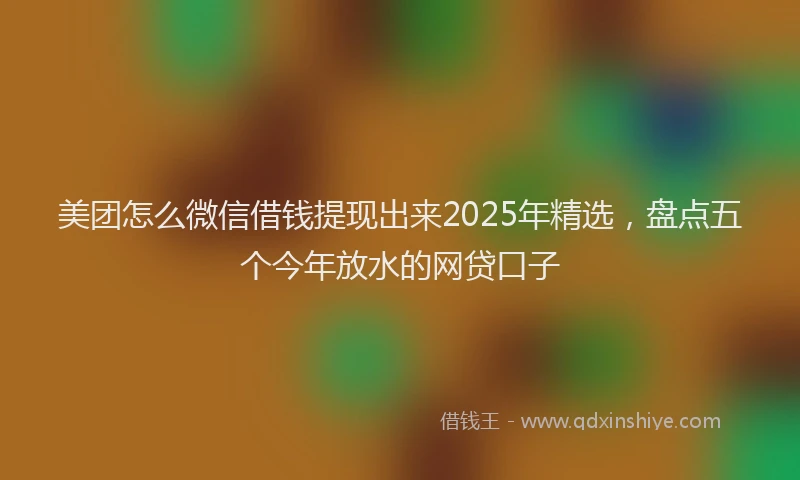 美团怎么微信借钱提现出来2025年精选，盘点五个今年放水的网贷口子