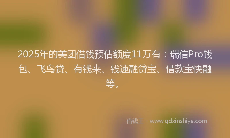 2025年的美团借钱预估额度11万有：瑞信Pro钱包、飞鸟贷、有钱来、钱速融贷宝、借款宝快融等。
