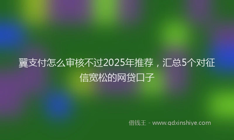 翼支付怎么审核不过2025年推荐，汇总5个对征信宽松的网贷口子