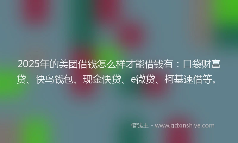2025年的美团借钱怎么样才能借钱有：口袋财富贷、快鸟钱包、现金快贷、e微贷、柯基速借等。