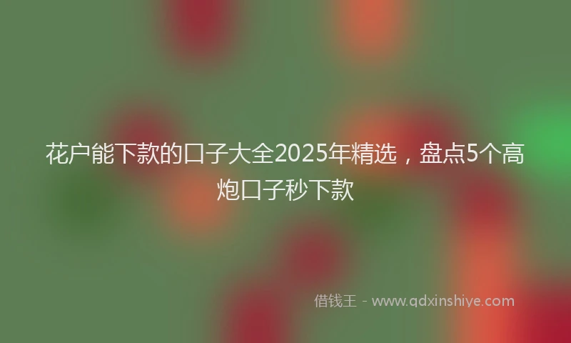 花户能下款的口子大全2025年精选，盘点5个高炮口子秒下款