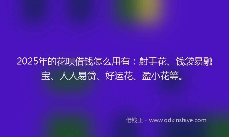 2025年的花呗借钱怎么用有：射手花、钱袋易融宝、人人易贷、好运花、盈小花等。