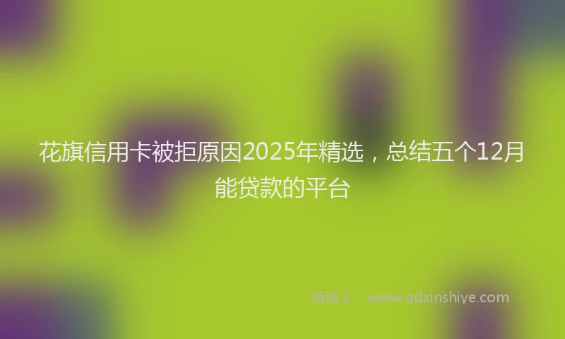 花旗信用卡被拒原因2025年精选，总结五个12月能贷款的平台