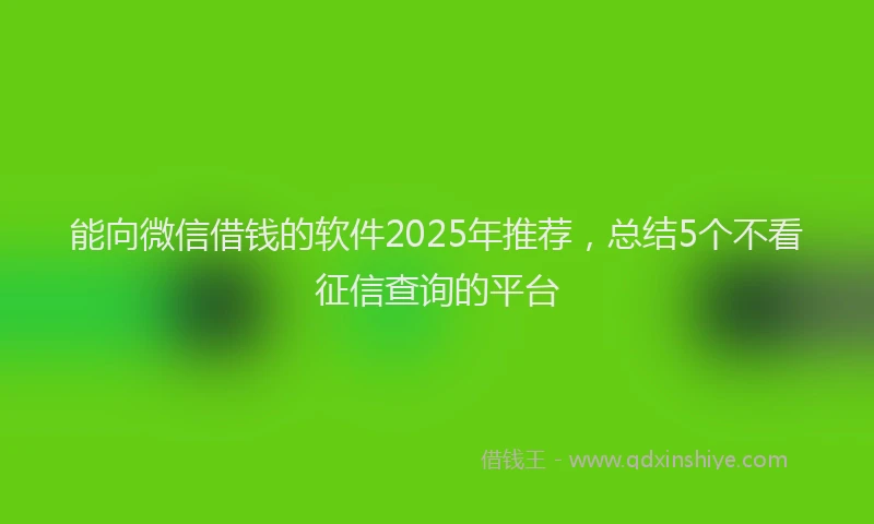 能向微信借钱的软件2025年推荐，总结5个不看征信查询的平台