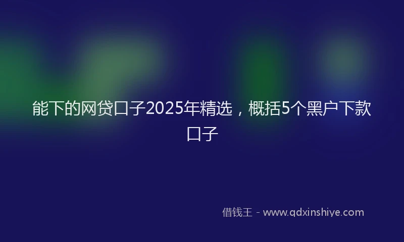 能下的网贷口子2025年精选，概括5个黑户下款口子