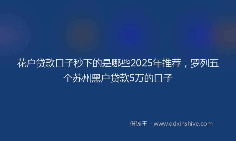 花户贷款口子秒下的是哪些2025年推荐，罗列五个苏州黑户贷款5万的口子