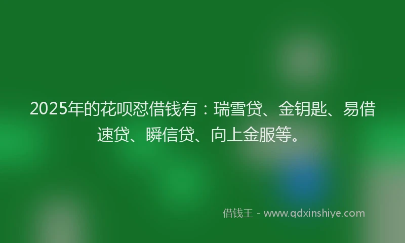 2025年的花呗怼借钱有：瑞雪贷、金钥匙、易借速贷、瞬信贷、向上金服等。