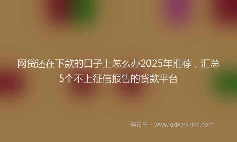 网贷还在下款的口子上怎么办2025年推荐，汇总5个不上征信报告的贷款平台