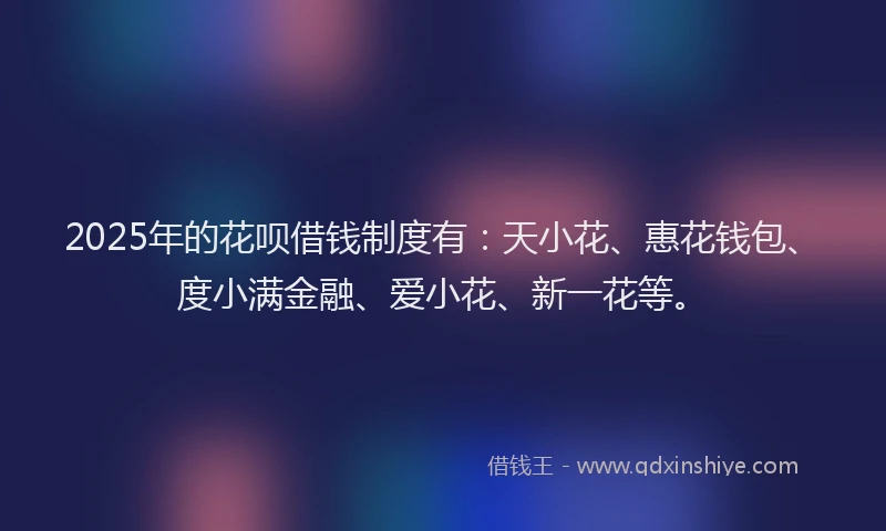 2025年的花呗借钱制度有：天小花、惠花钱包、度小满金融、爱小花、新一花等。
