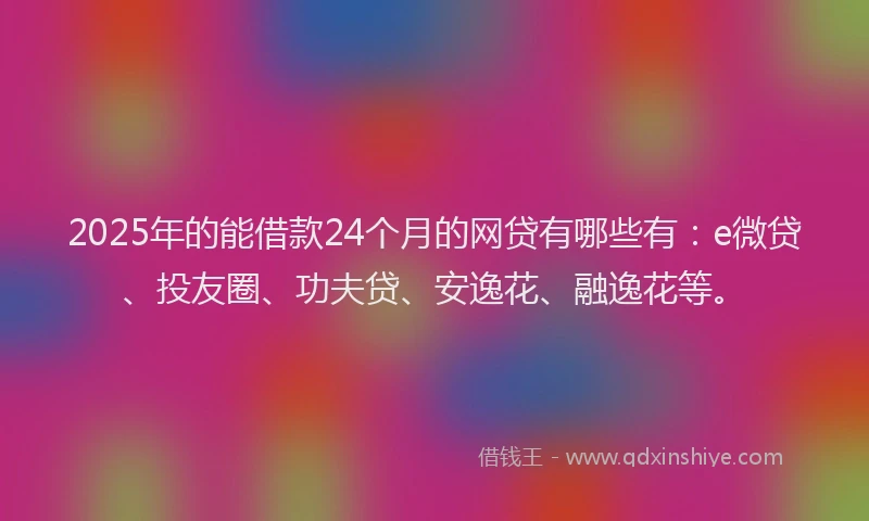 2025年的能借款24个月的网贷有哪些有：e微贷、投友圈、功夫贷、安逸花、融逸花等。