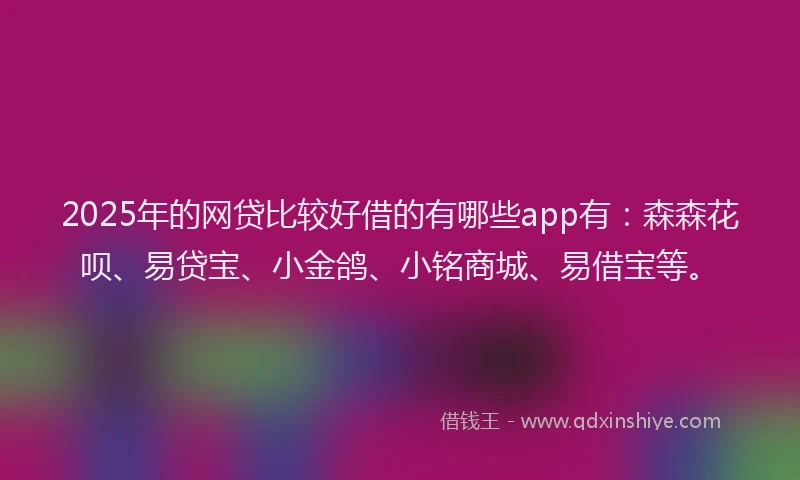 2025年的网贷比较好借的有哪些app有：森森花呗、易贷宝、小金鸽、小铭商城、易借宝等。