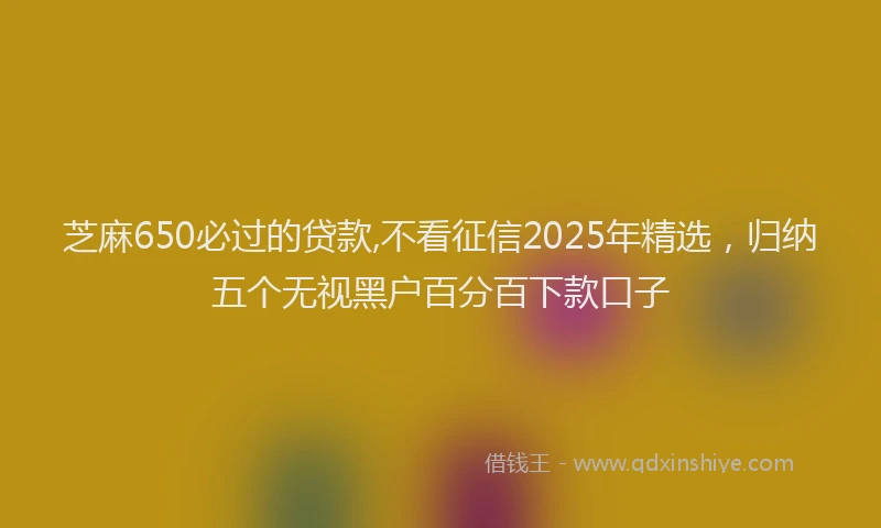 芝麻650必过的贷款,不看征信2025年精选，归纳五个无视黑户百分百下款口子
