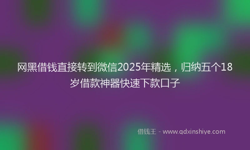 网黑借钱直接转到微信2025年精选，归纳五个18岁借款神器快速下款口子